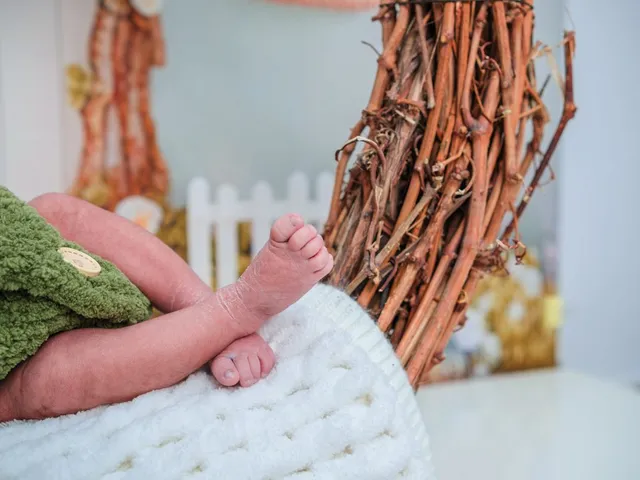 Obtener Partida de Nacimiento en el SAREN